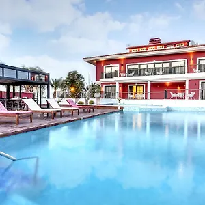 Bloom Otel